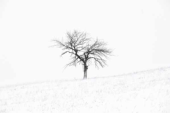 Photograph Evgeny Ivanov Snowy Day on One Eyeland
