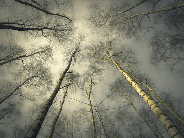 Photograph Renate Wasinger The View on One Eyeland