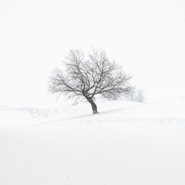 Photograph Evgeny Ivanov At The Top Of The Hill on One Eyeland