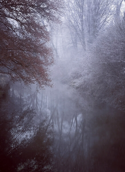 Photograph Renate Wasinger Cold Morning on One Eyeland
