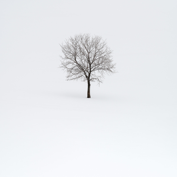 Photograph Evgeny Ivanov Snow Fell on One Eyeland