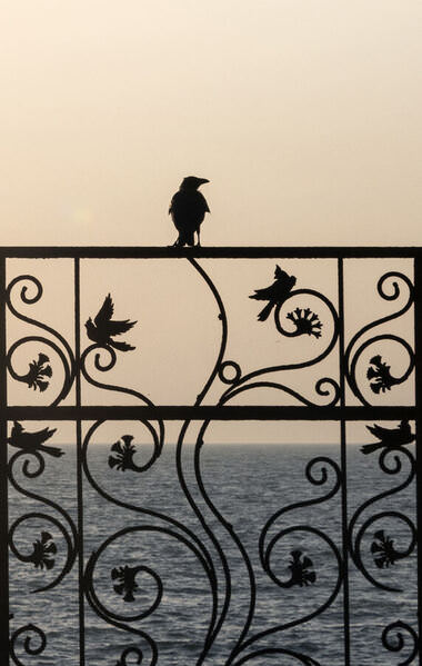 Photograph Maryam Khaleghizadeh Come Out on One Eyeland