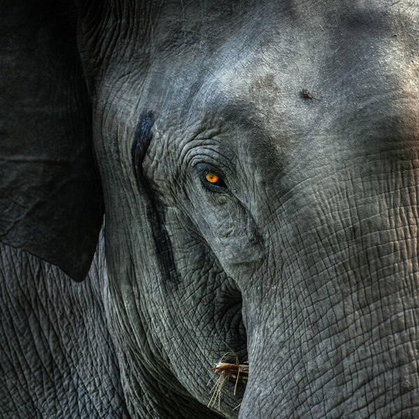 Photograph Jayanta Guha Eye on One Eyeland