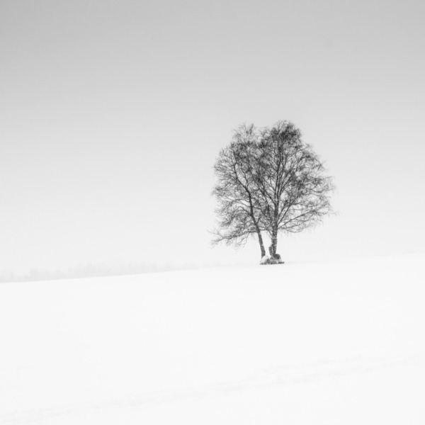 Photograph Renate Wasinger Quiet on One Eyeland