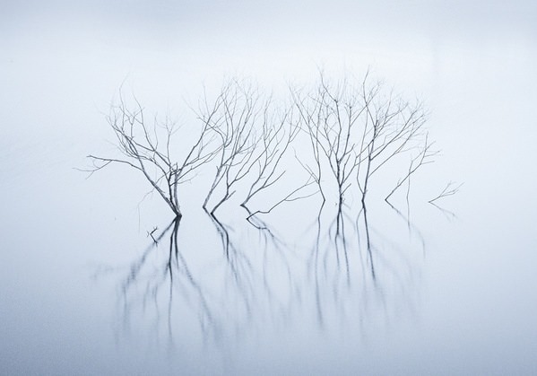 Photograph Kazuyuki Toriumi Alive on One Eyeland