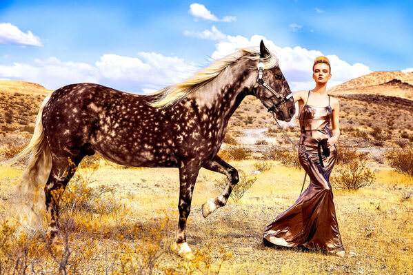 Photograph Michael Wylot Vilena Spotted Horse on One Eyeland
