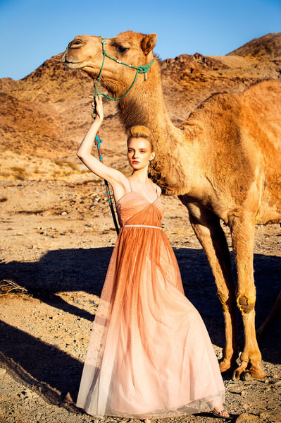 Photograph Michael Wylot Vilena Camel on One Eyeland