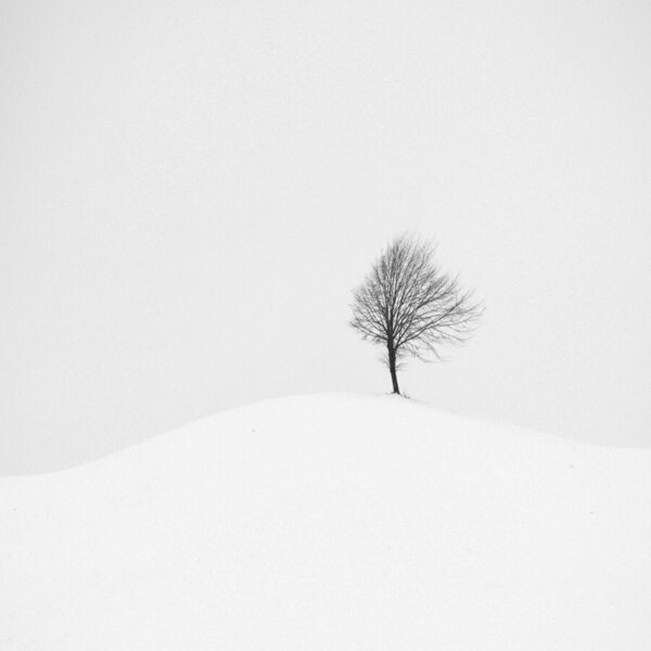 Photograph Renate Wasinger Loneliness on One Eyeland
