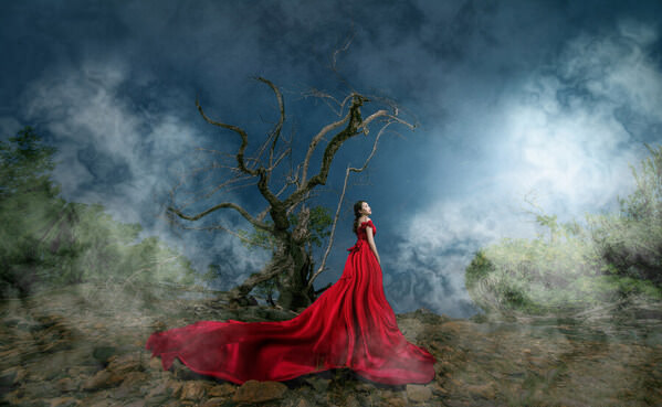 Photograph Pore Ooi Brides Alone on One Eyeland