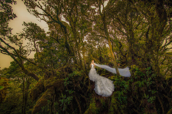 Photograph Pore Ooi Brides Alone on One Eyeland