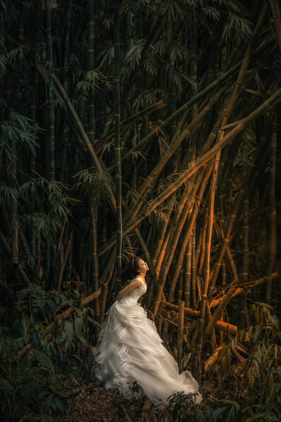 Photograph Pore Ooi Brides Alone on One Eyeland