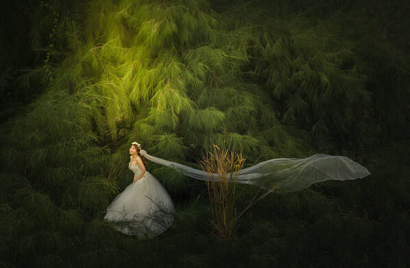 Photograph Pore Ooi Brides Alone on One Eyeland