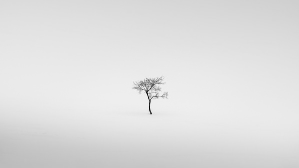 Photograph Evgeny Ivanov Very Young on One Eyeland