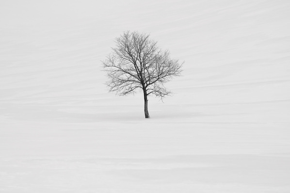 Photograph Evgeny Ivanov At The Slope on One Eyeland