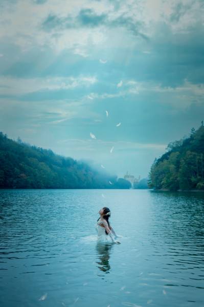 Photograph T Nefeltary Swan Of Lake on One Eyeland