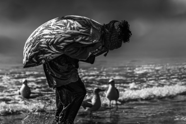 Photograph Khalid Faraj Wdaihi Work And Livelihood on One Eyeland