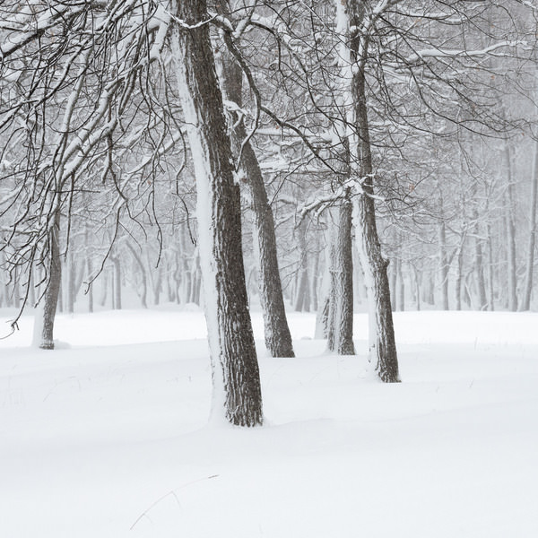 Photograph Evgeny Ivanov During A Snowfall on One Eyeland