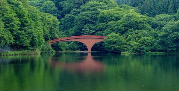 Photograph Wataru Aoki Tranquil Green on One Eyeland