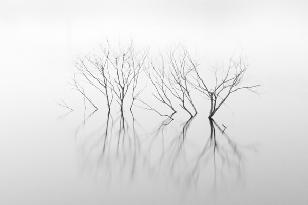 Photograph Kazuyuki Toriumi Alive on One Eyeland