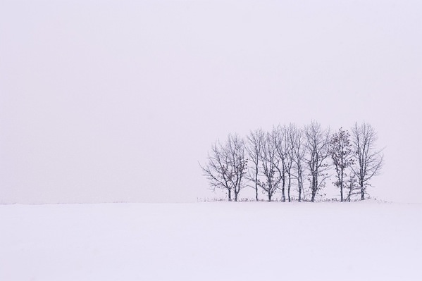 Photograph Wataru Aoki White World on One Eyeland
