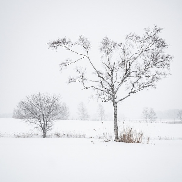Photograph Kazuyuki Toriumi Winter Tale on One Eyeland