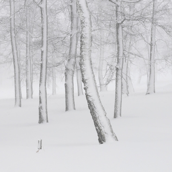Photograph Tatiana Biriukova One on One Eyeland