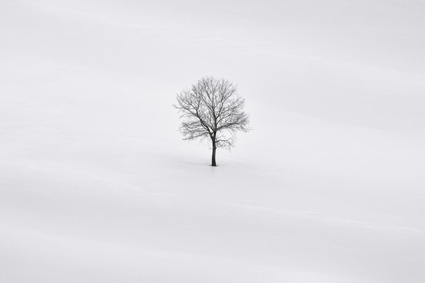 Photograph Evgeny Ivanov Alone on One Eyeland