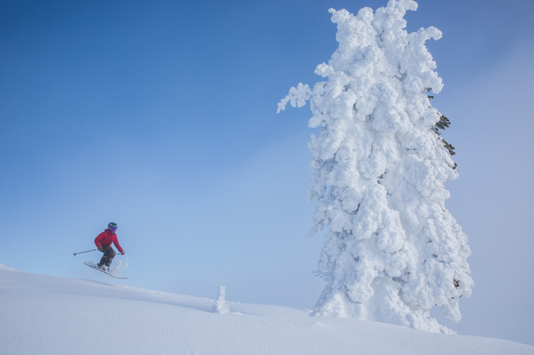 Photograph Woods Wheatcroft Floating Among The Snowghosts on One Eyeland