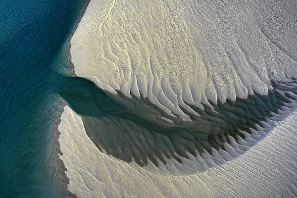 Photograph Graham Earnshaw Swallow Me on One Eyeland