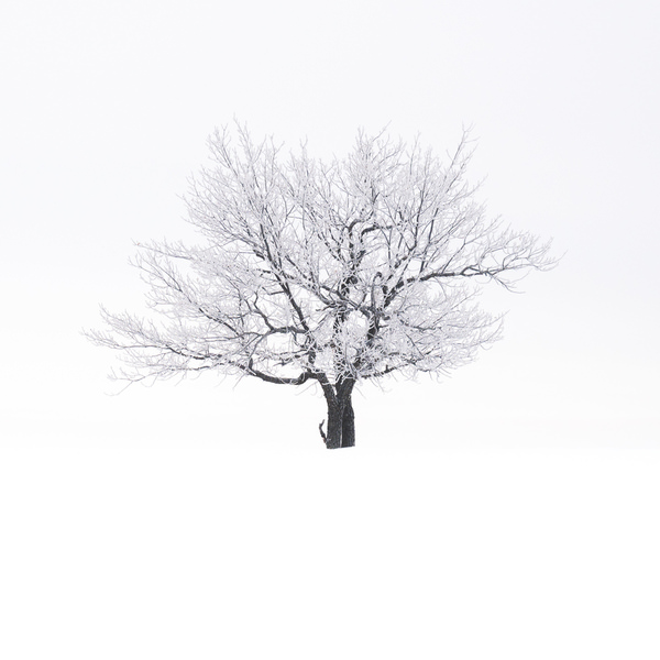 Photograph Evgeny Ivanov Frost on One Eyeland