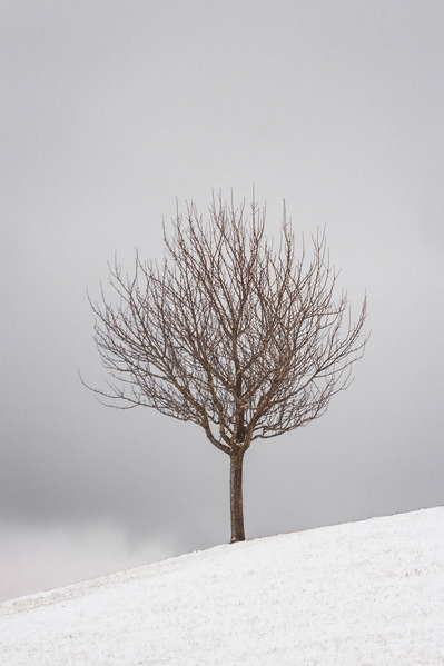 Photograph Renate Wasinger Winter Silence on One Eyeland