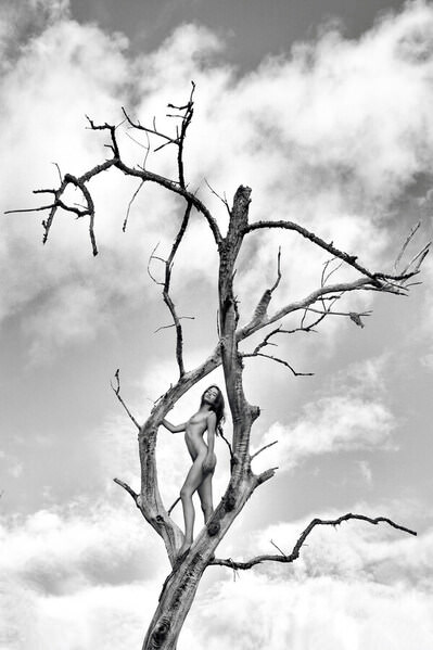 Photograph Roberto Manetta The Last Tree on One Eyeland