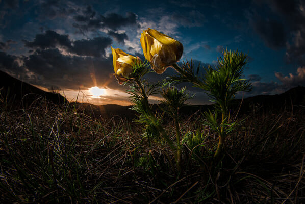 Photograph Csaba Tokolyi Late In The Afternoon on One Eyeland