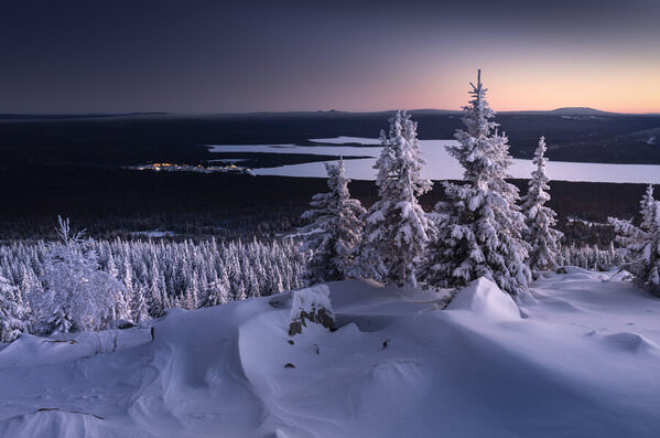 Photograph Tatiana Biriukova Evening Trees on One Eyeland