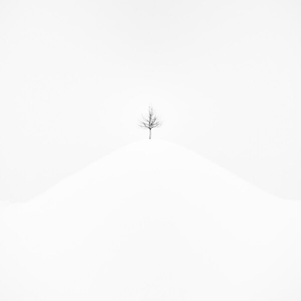 Photograph Renate Wasinger On The Hill on One Eyeland