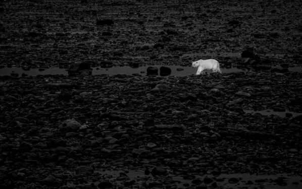 Photograph Csaba Tokolyi Wanderer on One Eyeland