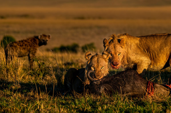 Photograph Deepa Girish Circle Of Life on One Eyeland