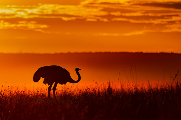 Photograph Deepa Girish Fiery Morning on One Eyeland