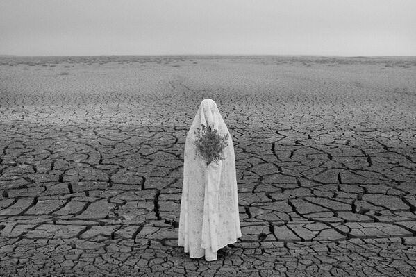 Photograph Mahdi Aliniaei Desert Rose on One Eyeland