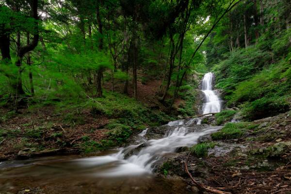 Photograph T Nefeltary The Waterfall on One Eyeland