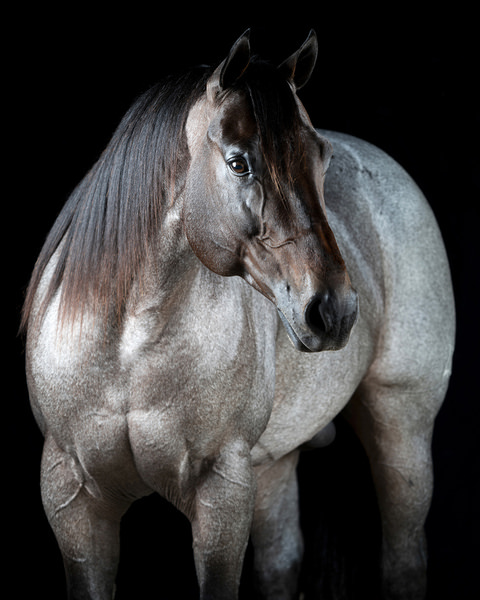 Photograph Tony Mendes Platinum on One Eyeland
