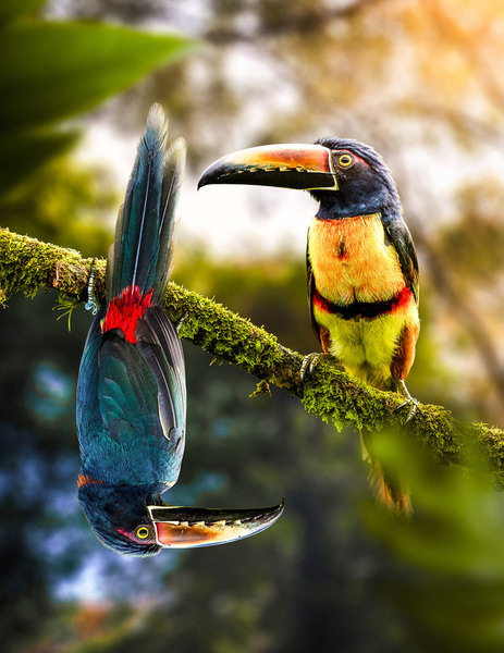 Photograph Erangel Duque Upside Down on One Eyeland