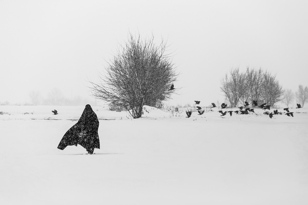 Photograph Shahin Khalaji Free Like A Bird on One Eyeland