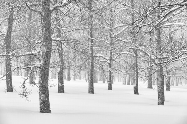 Photograph Evgeny Ivanov Winter Sleep on One Eyeland