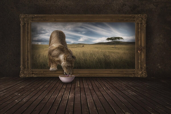 Photograph Peter Rooney Out Of Africa on One Eyeland