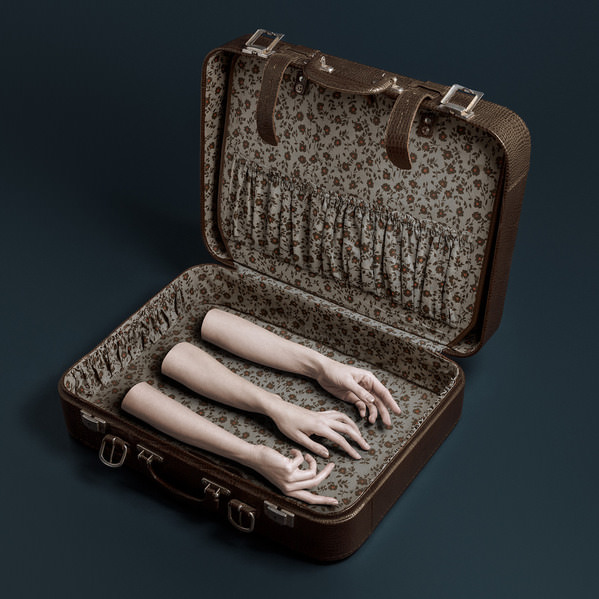 Photograph Teodora Dimitrova The Brown Suitcase on One Eyeland