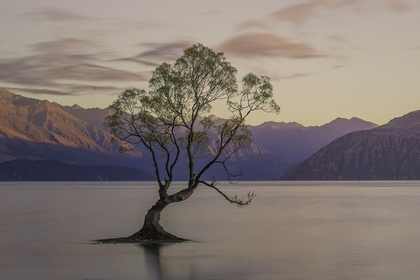 Photograph Dihang Wu Another Day Another Chance To Shine on One Eyeland