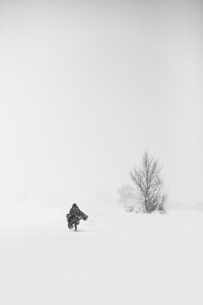 Photograph Shahin Khalaji Alone And Run on One Eyeland