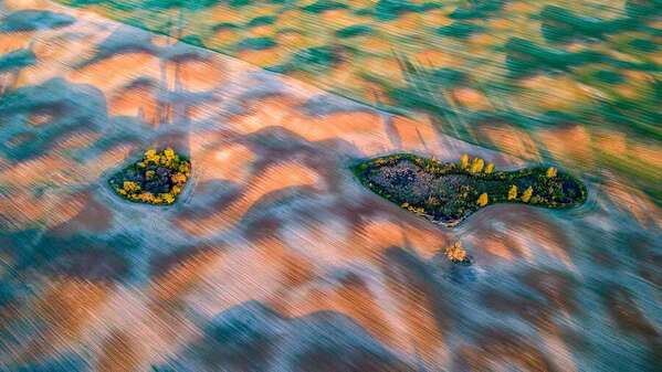 Photograph Wiktor Baron Fields In Poland on One Eyeland