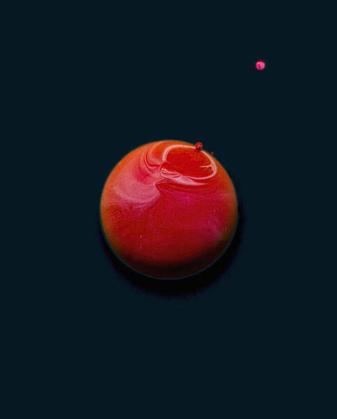 Photograph Jonathan Knowles Negentropy on One Eyeland